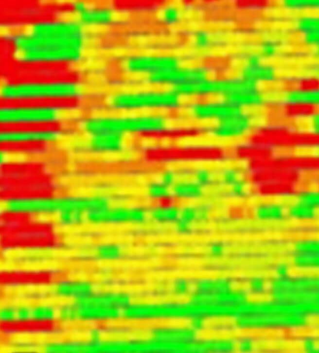 Harvest Yield Analysis